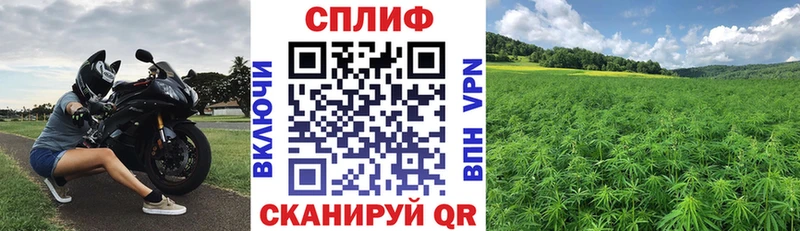 Бошки Шишки Ленинск-Кузнецкий