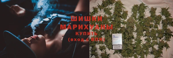 a pvp Краснослободск