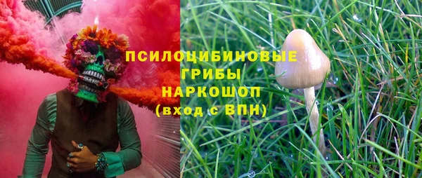 эйфоретик Куйбышев