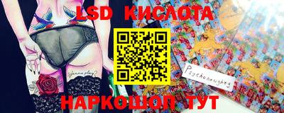 крисы Кандалакша