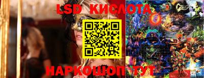 крисы Кандалакша
