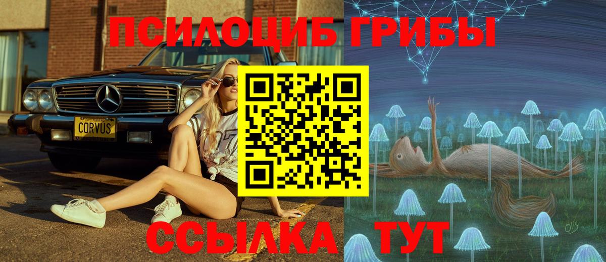 Ленинск-Кузнецкий  Псилоцибиновые грибы мицелий  Псилоцибиновые грибы Psilocybe  Вход с VPN 